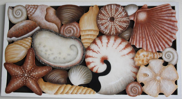 Large Seashell Board