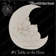 Teddy on the Moon