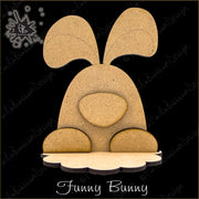 Funny Bunny Kit